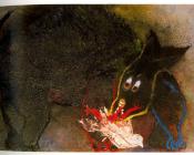 胡安 里波列斯 : -Unknown